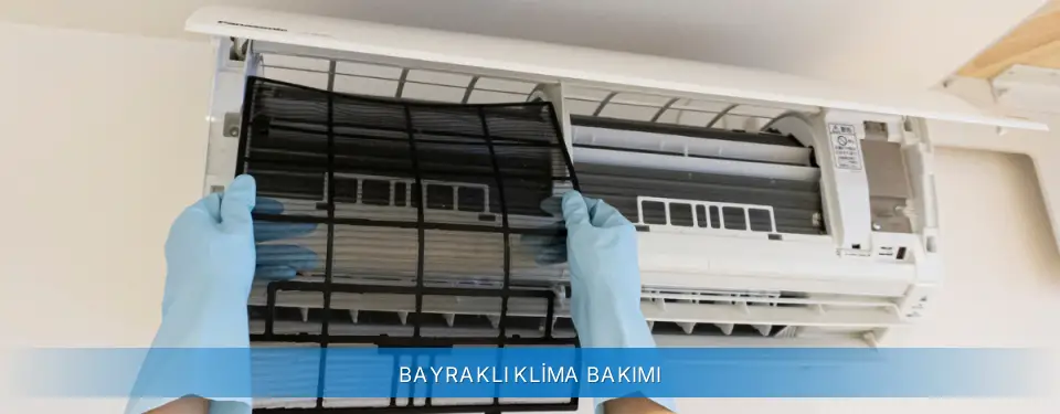 Bayraklı İlçemi Alarko Carrier Klima Bakımı